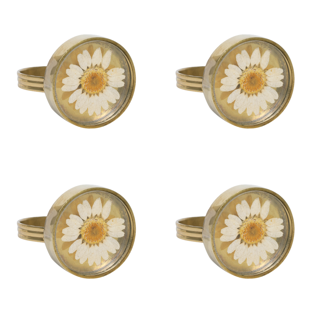 Servetringen dried daisy - goud van À la (set van 4)