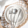 Cutipol moon rvs stainless steel matte