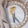 Cutipol Goa – Blauw/Goud