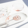 Anna von Lipa Lyon champagne coupe rosa