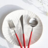 Cutipol Goa Rood RVS